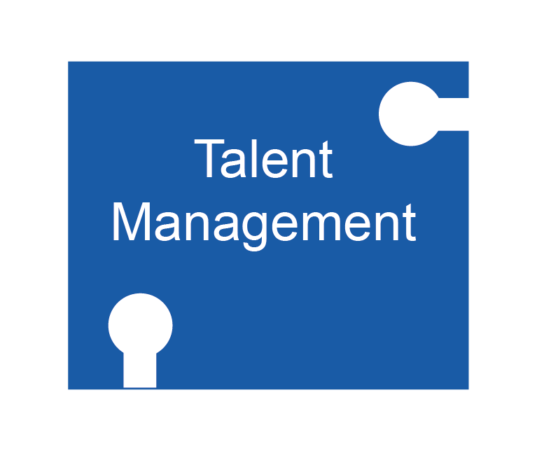 Jigsaw Talent management
